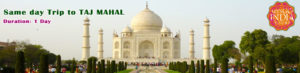 Same Day Trip to Taj Mahal